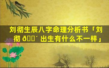 刘彻生辰八字命理分析书「刘彻 🐴 出生有什么不一样」